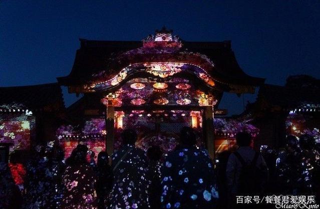 日本京都首屈一指的赏樱胜地,拥有“樱花王者”称誉的八重樱!