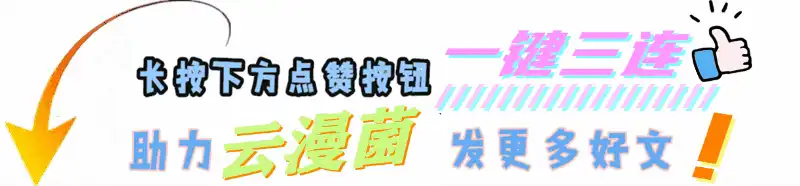 比比东其实并未失败,在终极大战之后,比比东完全达到了目的