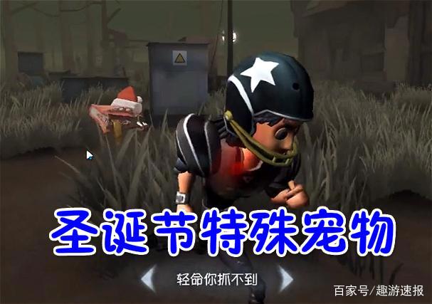 第五人格:极其“罕见”的五张截图,空军变巫婆,魔术师谋害园丁