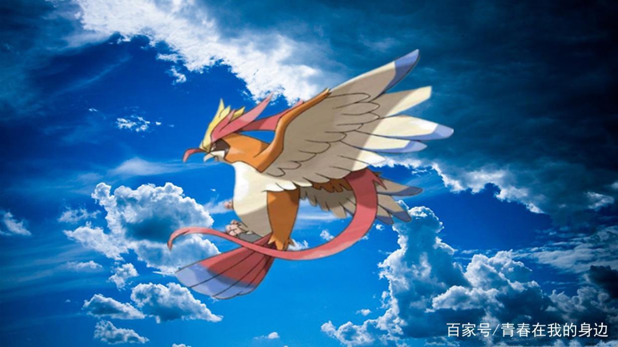 神奇宝贝：小智充当代练，将这些宝可梦练到无敌，却又免费送人