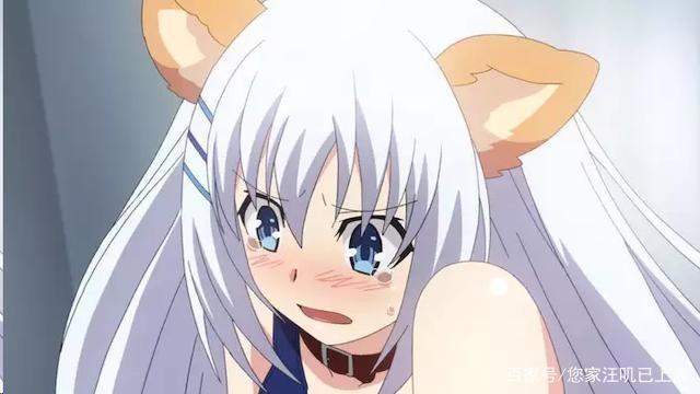 约战11话先行:“狗耳娘”折纸泳装秀,冰铠四糸乃帅炸!节奏超快