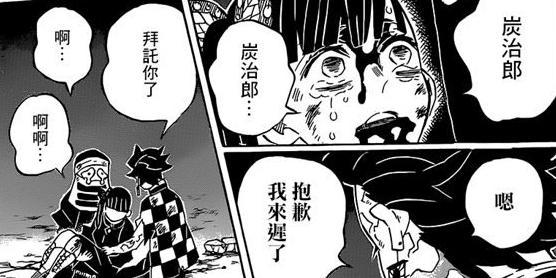 鬼灭之刃:炭治郎带着遗憾离世,未能看到祢豆子转变为人