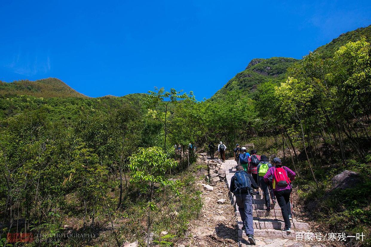 因一片花海刷爆朋友圈,浙江一个不靠旅游吃饭的小镇,成度假天堂