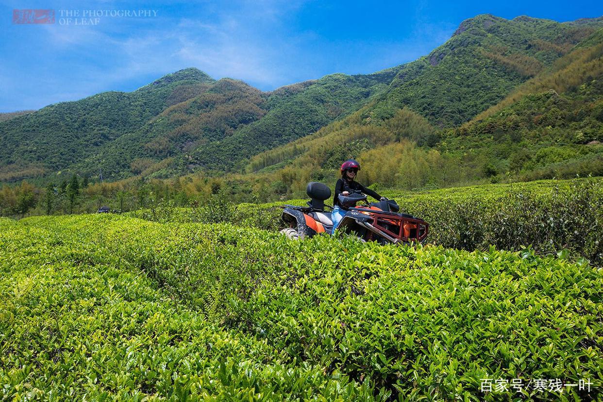 因一片花海刷爆朋友圈,浙江一个不靠旅游吃饭的小镇,成度假天堂
