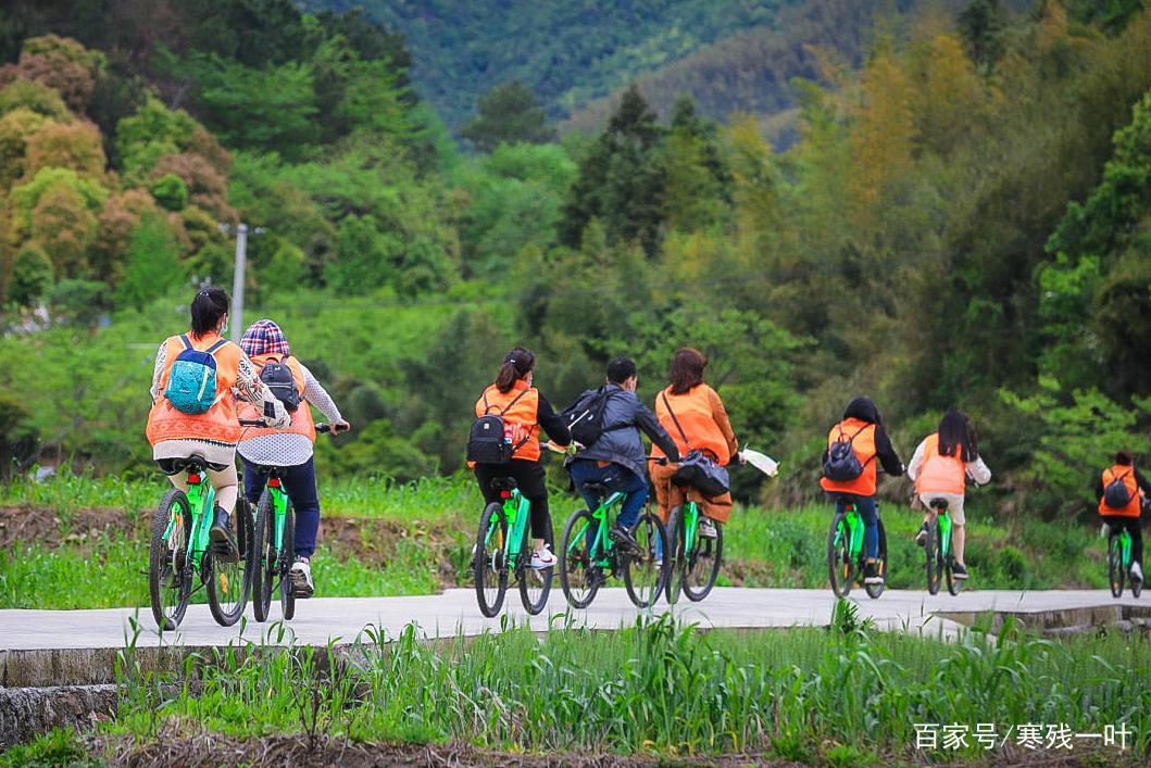 因一片花海刷爆朋友圈,浙江一个不靠旅游吃饭的小镇,成度假天堂