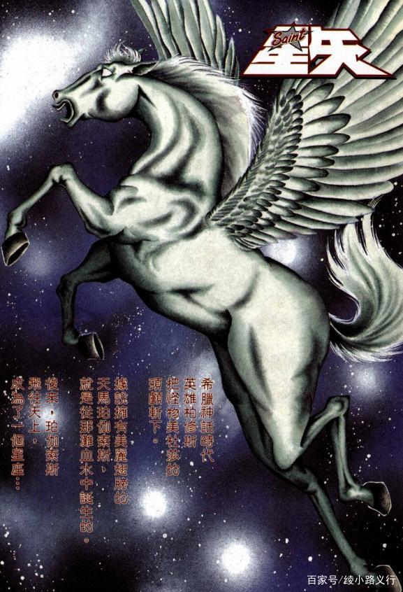 被圣域培养的星矢缘何叛离?绫小路解读漫画《圣斗士星矢》(1)